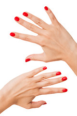 Image showing Woman with beautiful manicured red fingernails