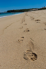 Image showing Beautiful tropical beach with lush vegetation