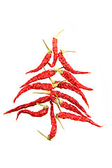 Image showing christmas tree from hot spice 