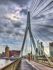 Image showing Erasmus Bridge - Rotterdam