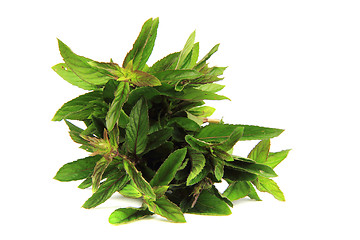 Image showing fresh green mint