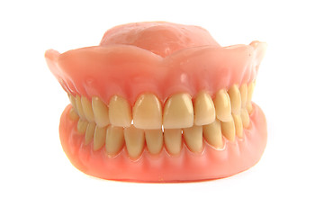 Image showing nice teeth prosthesis 