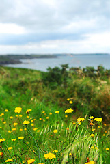 Image showing Atlantic coastline in Brittany, France