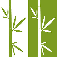 Image showing the bamboo