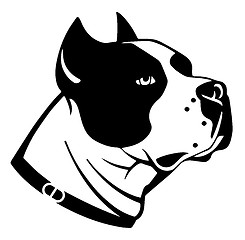Image showing the dog face