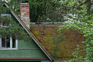 Image showing The moss on the roof.