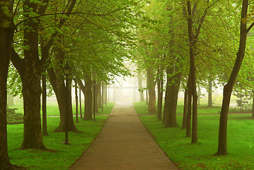 Image showing Foggy park