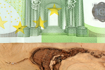 Image showing Close up macro detail of euro money banknotes