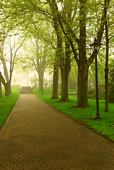Image showing Foggy park