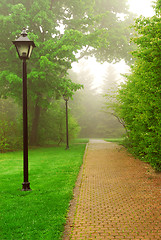 Image showing Foggy park