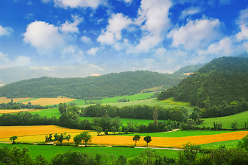 Image showing Rural landscape