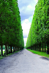 Image showing Versailles gardens