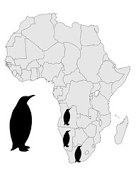 Image showing African penguin range