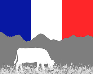 Image showing Cow alp and french flag