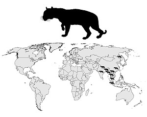 Image showing Tiger range