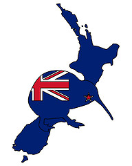 Image showing Kiwi of New Zealand