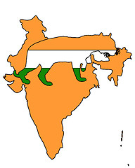 Image showing India tiger