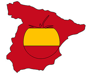 Image showing Spanish tomato