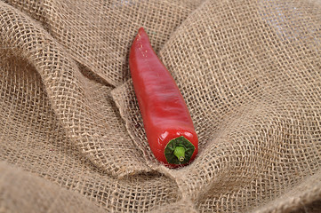 Image showing Pepper on jute