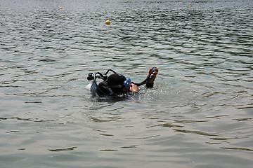 Image showing Diver