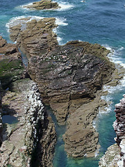 Image showing rocky coast detail