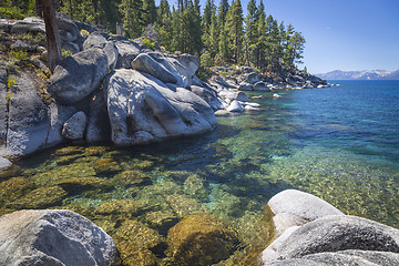 Image showing Beautiful Shoreline of Lake Tahoe