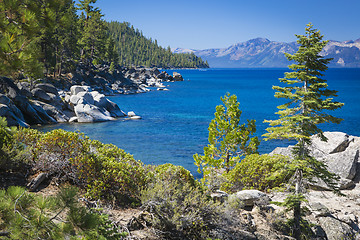 Image showing Beautiful Shoreline of Lake Tahoe