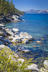 Image showing Beautiful Shoreline of Lake Tahoe