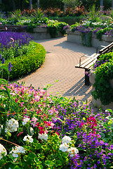 Image showing Formal garden