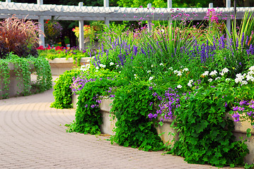 Image showing Formal garden