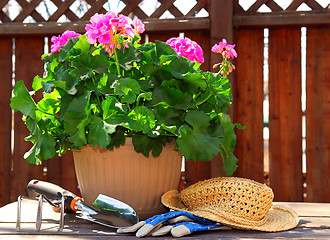 Image showing Gardening tools