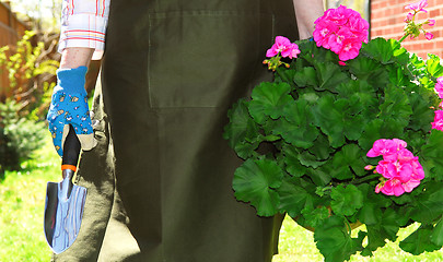 Image showing Gardening