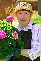 Image showing Senior woman gardening