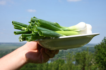 Image showing Spring onion