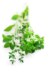 Image showing Assorted herbs