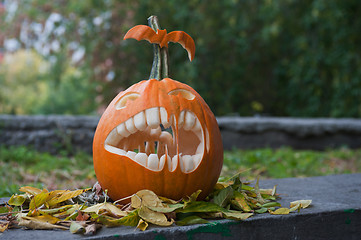 Image showing Halloween pumpkin