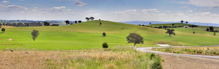 Image showing Hills of Mandurama Landscape