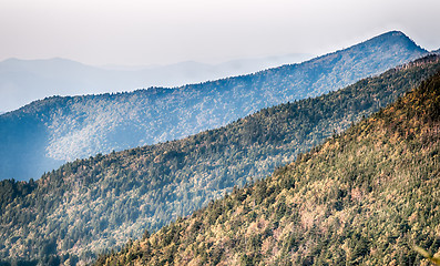 Image showing The simple layers of the Smokies at sunset - Smoky Mountain Nat.