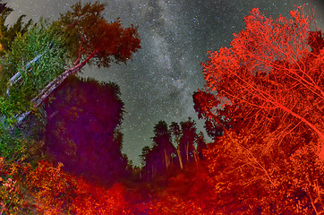 Image showing a beautiful night sky, the Milky Way and the trees