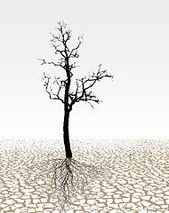 Image showing Parched land 