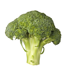 Image showing Broccoli