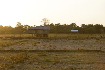 Image showing Flores Farmland