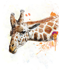 Image showing Watercolor Image Of Giraffe