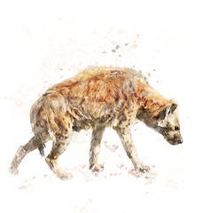 Image showing Watercolor Image Of Spotted Hyena