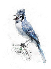 Image showing Watercolor Image Of Blue Jay