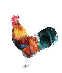 Image showing Watercolor Image Of Rooster