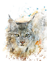 Image showing Watercolor Image Of Lynx