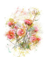 Image showing Watercolor Image Of Roses