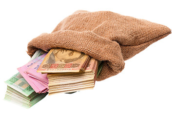 Image showing Money bag with hryvna