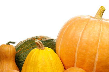 Image showing Ripe pumpkins